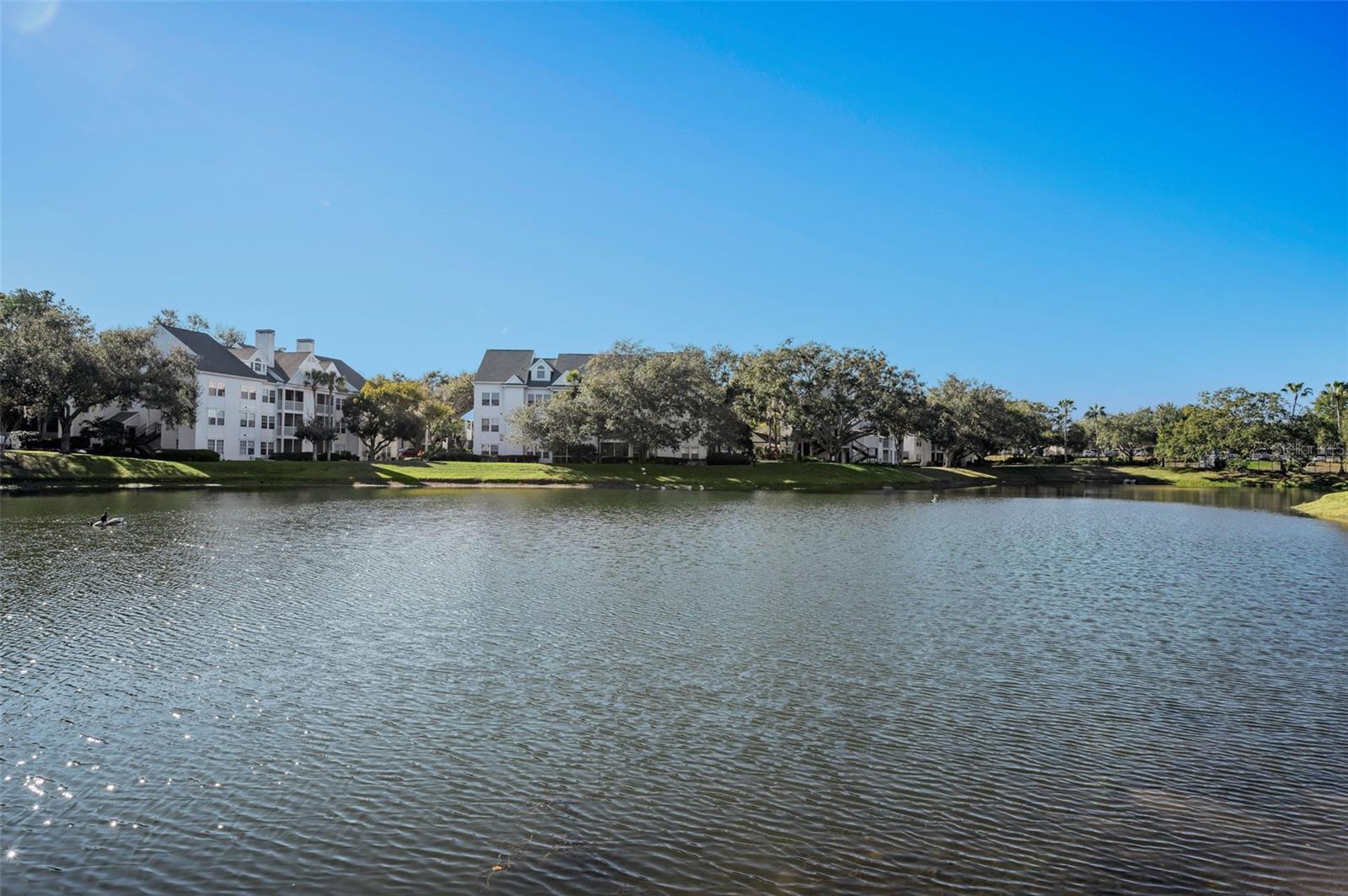 3304 HAVILAND CT #103