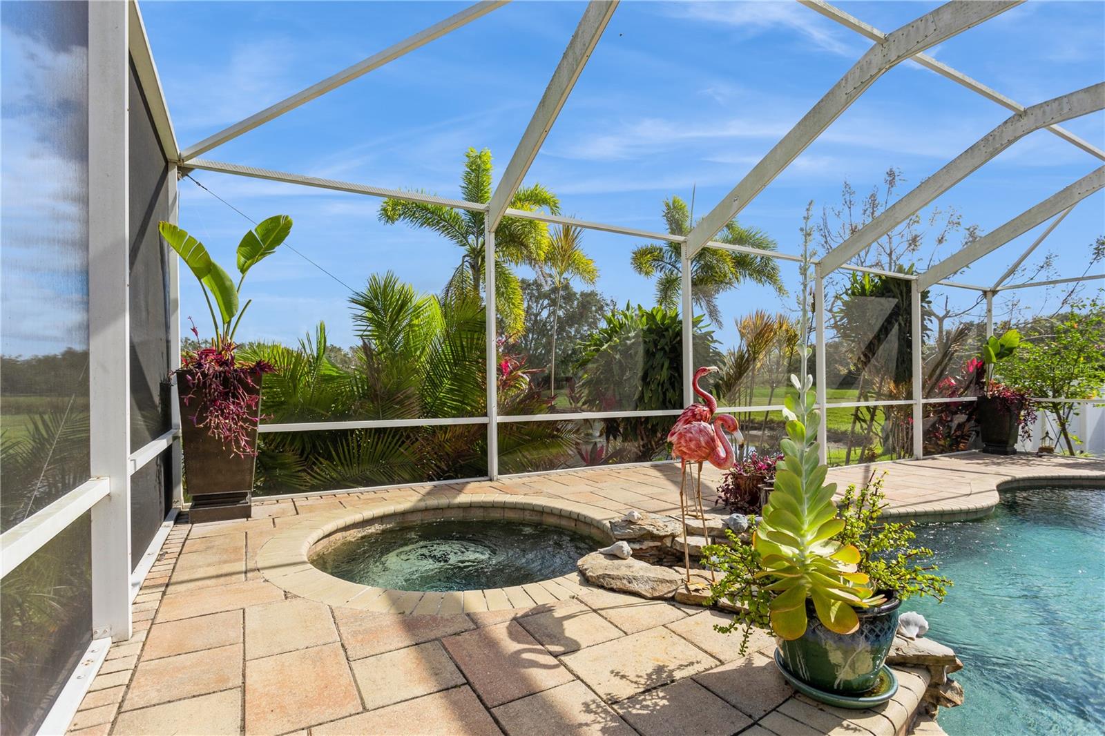 Screened pool patio with a circular spa, tropical plants, and flamingo ornaments.