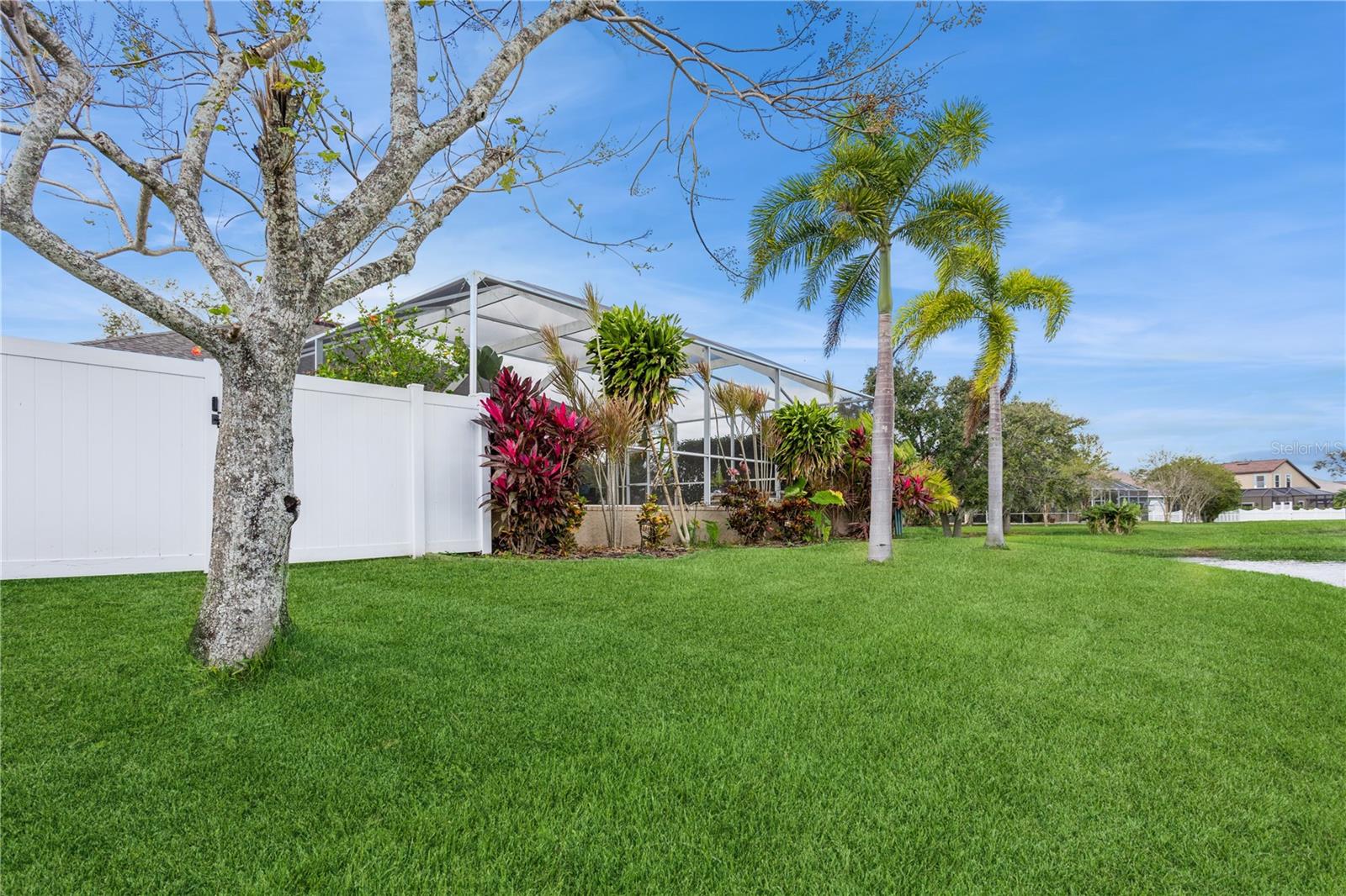 Backyard with a screened pool enclosure, white privacy fence, palm trees, and a broad green lawn.