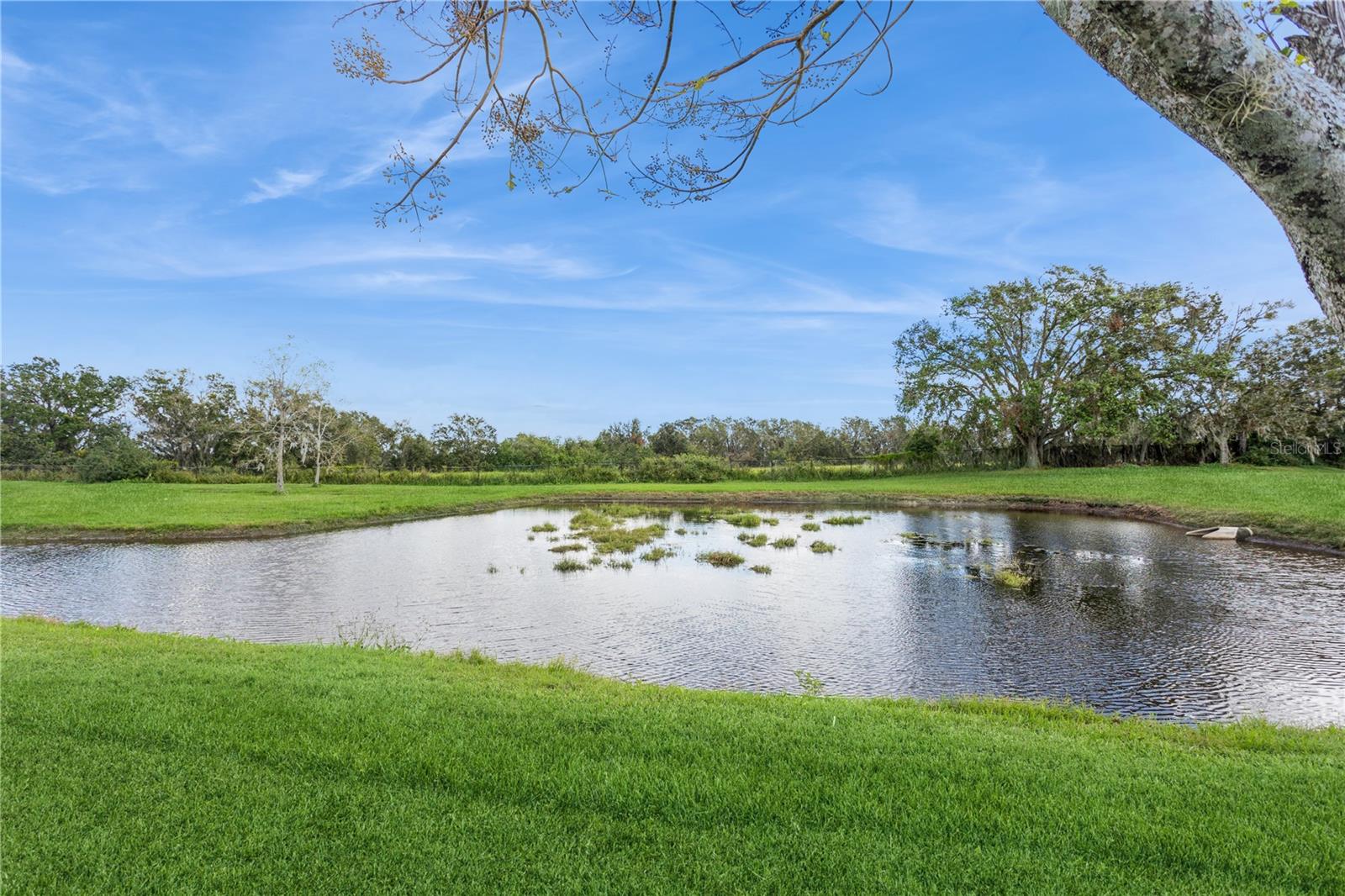 Pond bordered by a green lawn and mature trees.