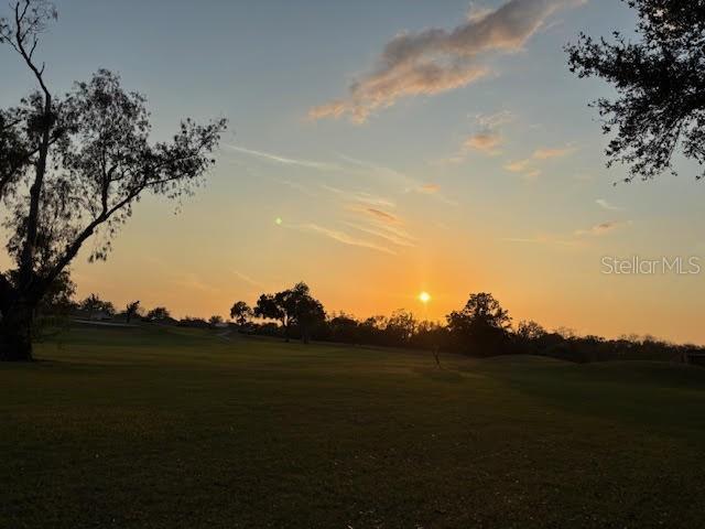 Open grassy landscape and scattered trees beneath a sunset sky.