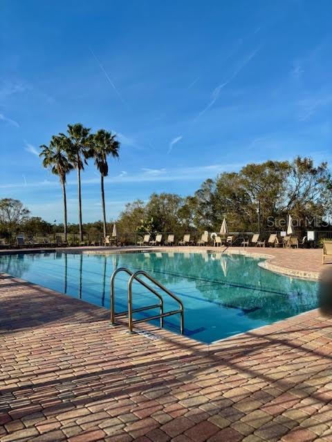Outdoor swimming pool with a metal ladder and brick paver deck, backed by palm trees.
