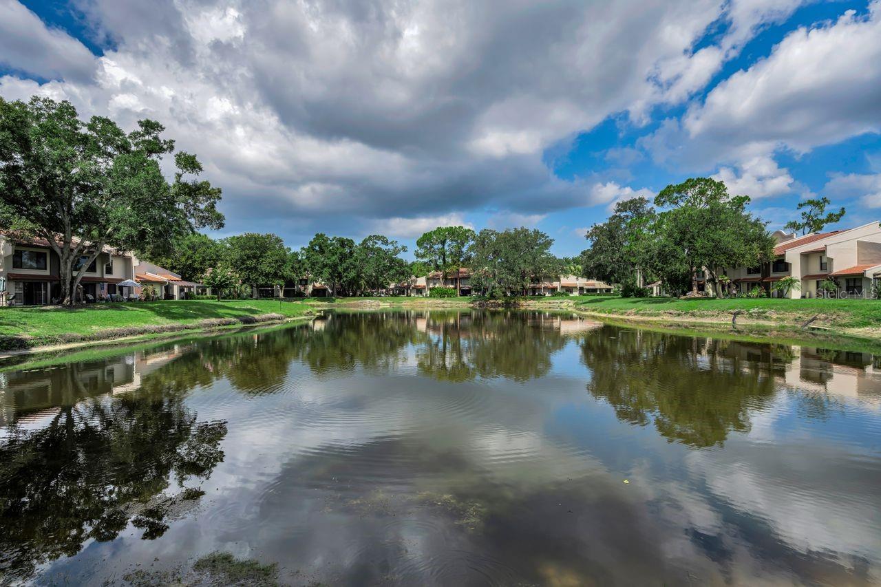 Residential community pond reflecting clouds, with homes and grassy banks along the water.