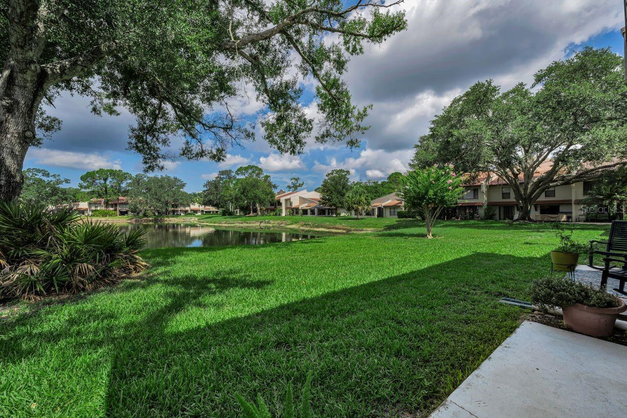 Residential community grounds with a pond, broad lawn, mature trees, and low-rise homes.