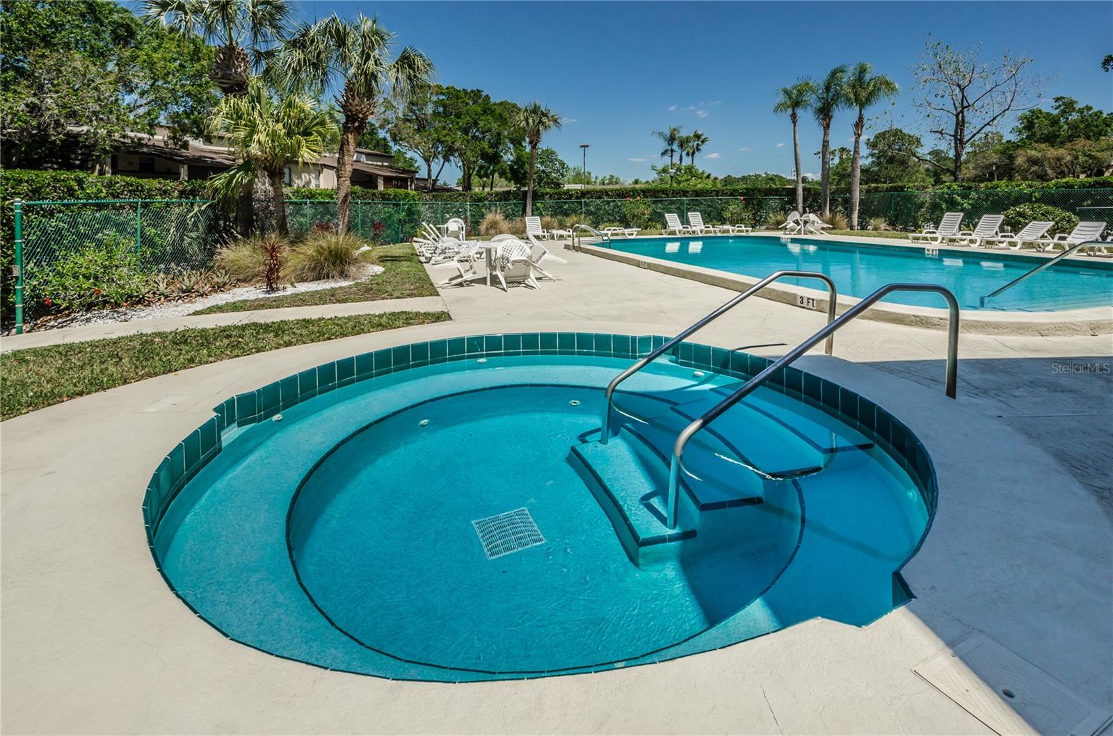 Outdoor pool and circular spa with metal handrails, lounge chairs, and palm trees.