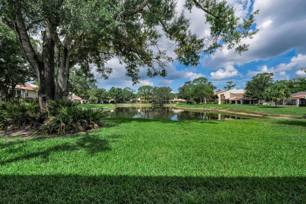 Community pond bordered by lawns, mature trees, and low-rise homes.