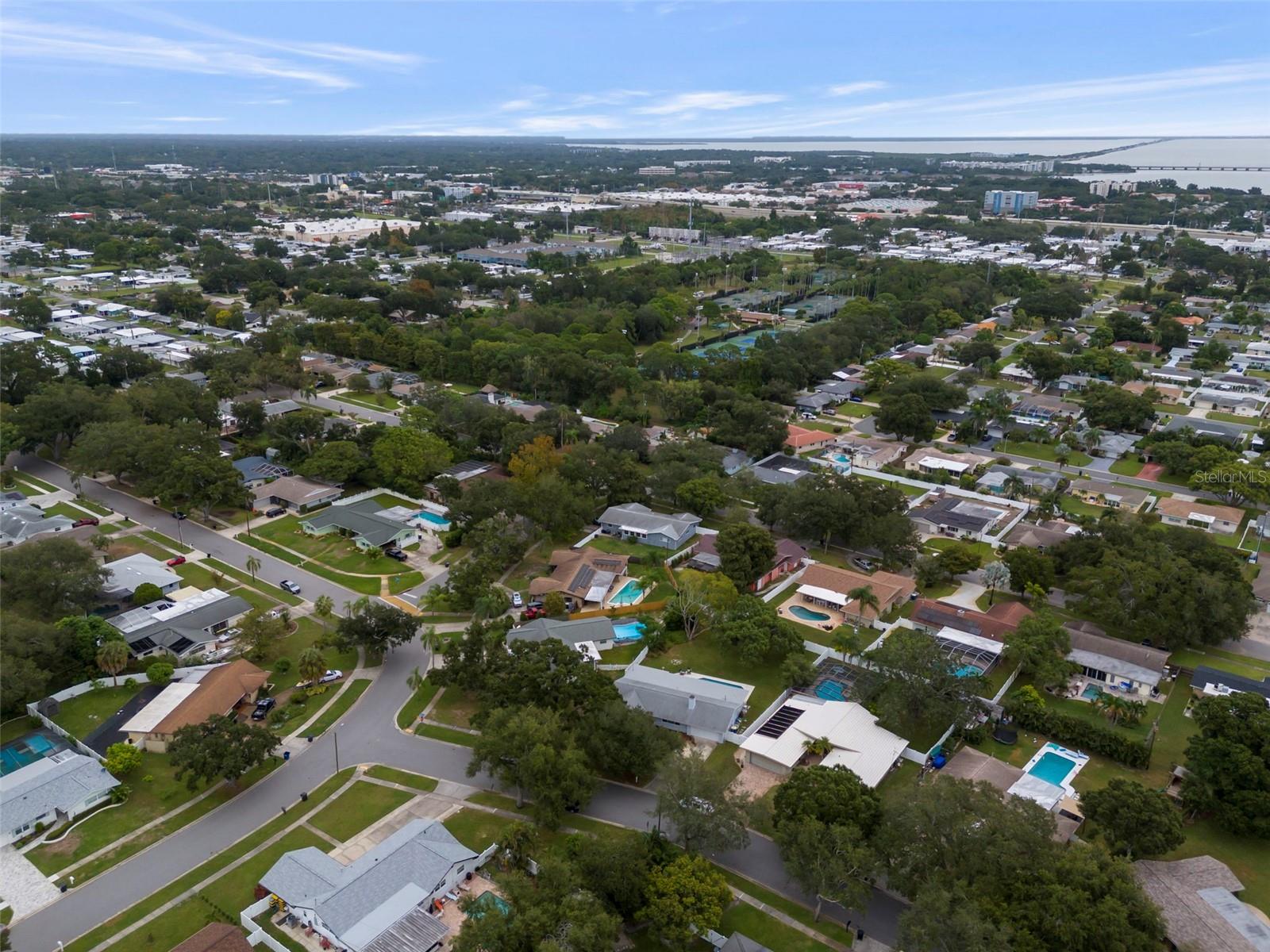 Aerial view of a Clearwater neighborhood with tree-lined streets, backyard pools, and water in the distance.