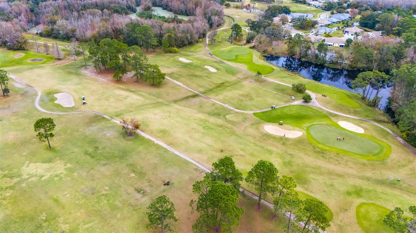 12143 PUTTER GREEN CT