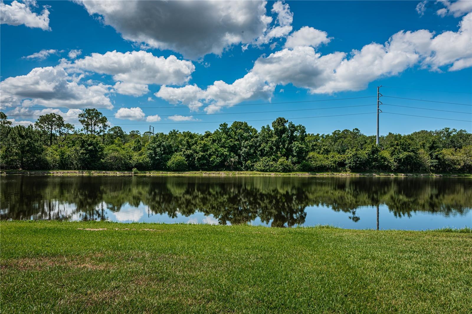 11246 CYPRESS RESERVE DR