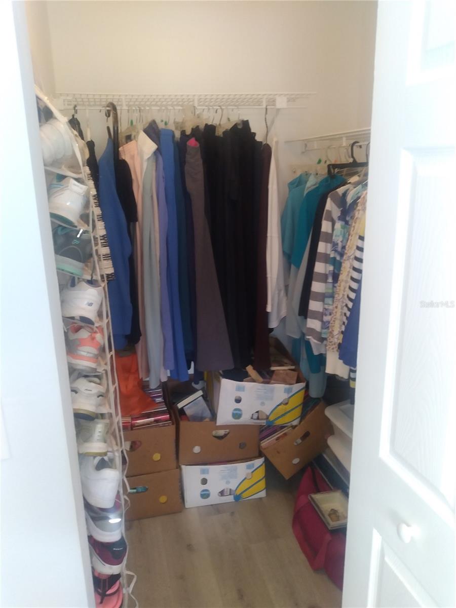 472 EXMOOR TER #1683