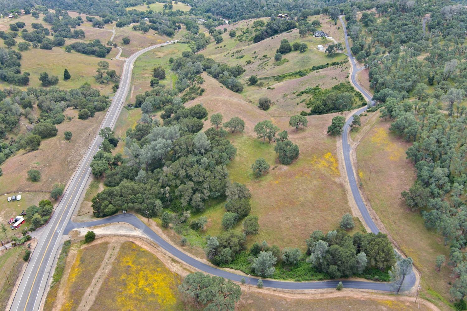 7101 Dragon Point Road