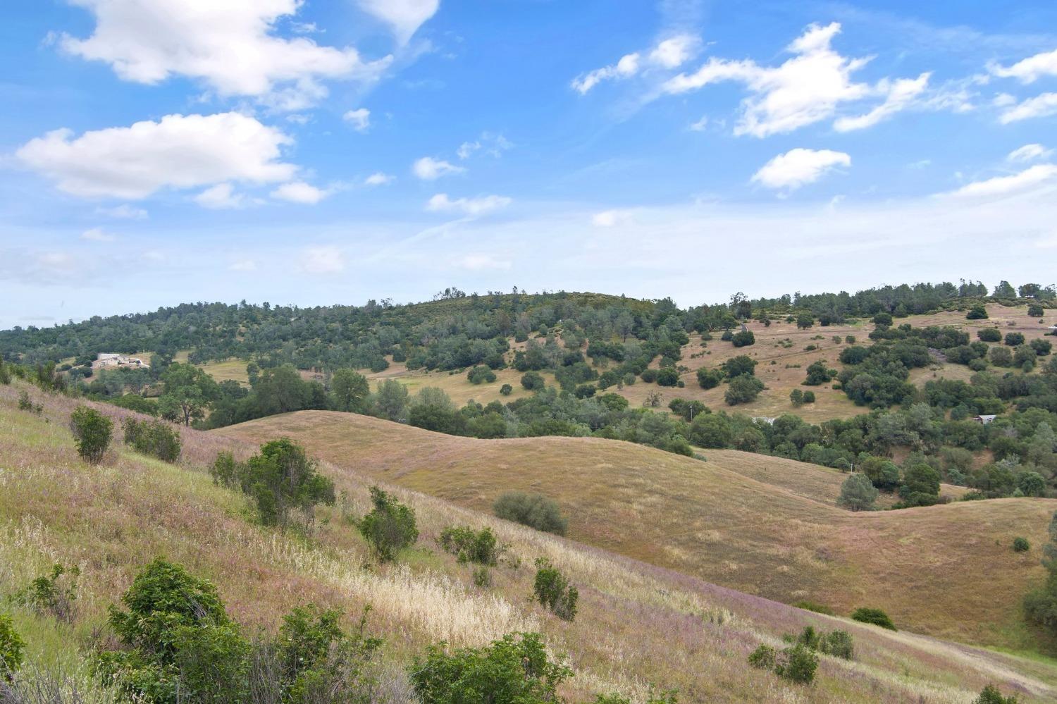 7101 Dragon Point Road