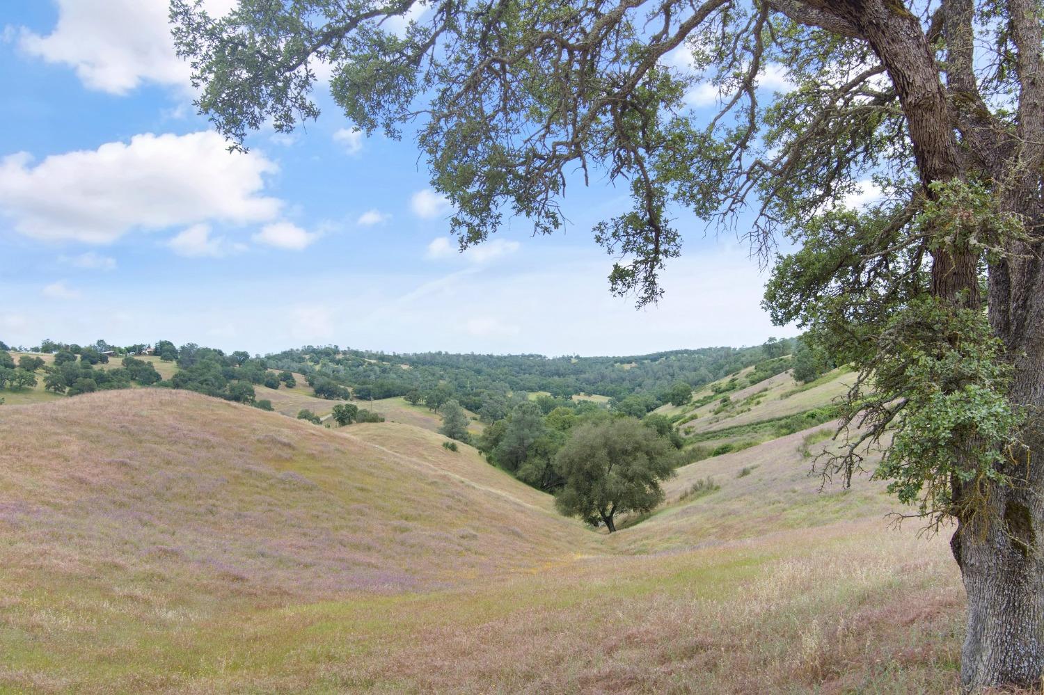 7101 Dragon Point Road