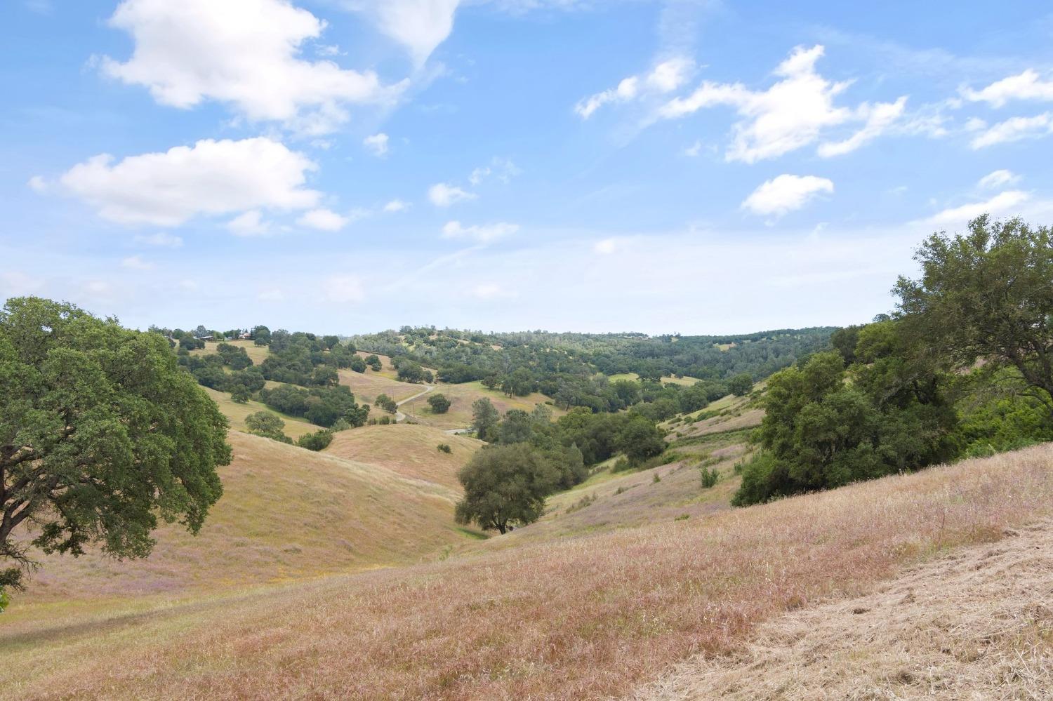 7101 Dragon Point Road