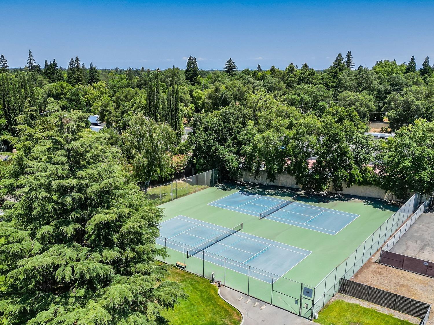 1235 Spruce Tree Circle