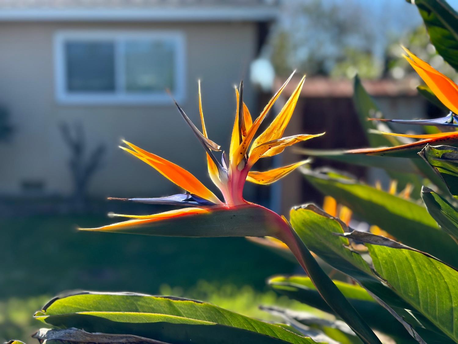 2716 Northview Drive