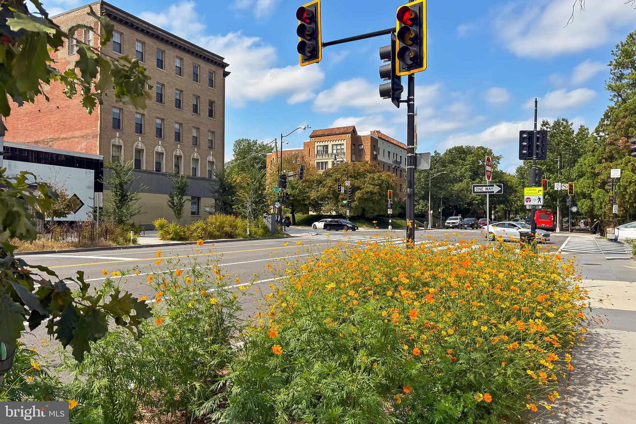 3600 CONNECTICUT AVENUE NW 105