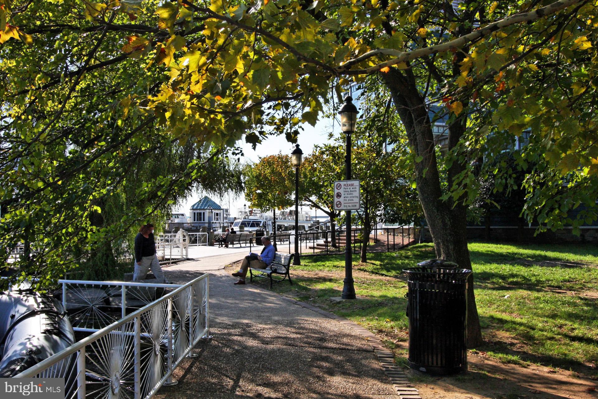 2050 JAMIESON AVENUE 1409