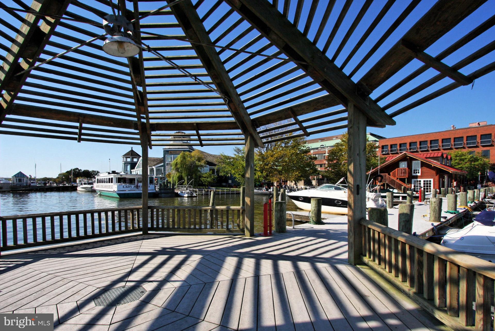 2050 JAMIESON AVENUE 1409