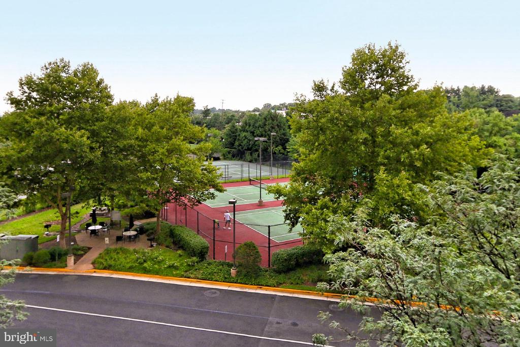 2151 JAMIESON AVENUE Unit: 1911