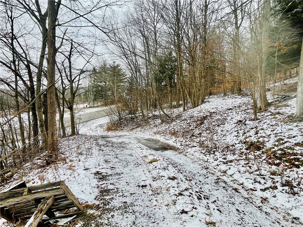 9248 County Road 15b