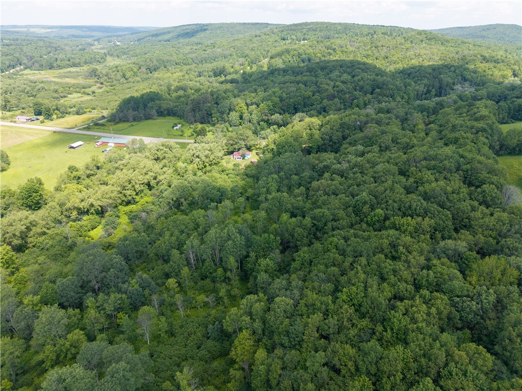 9052 County Road 15b