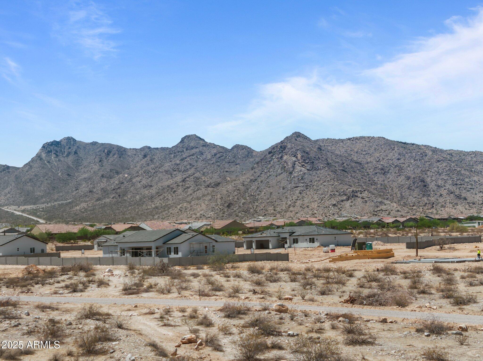 2023X W Wolf Street 2