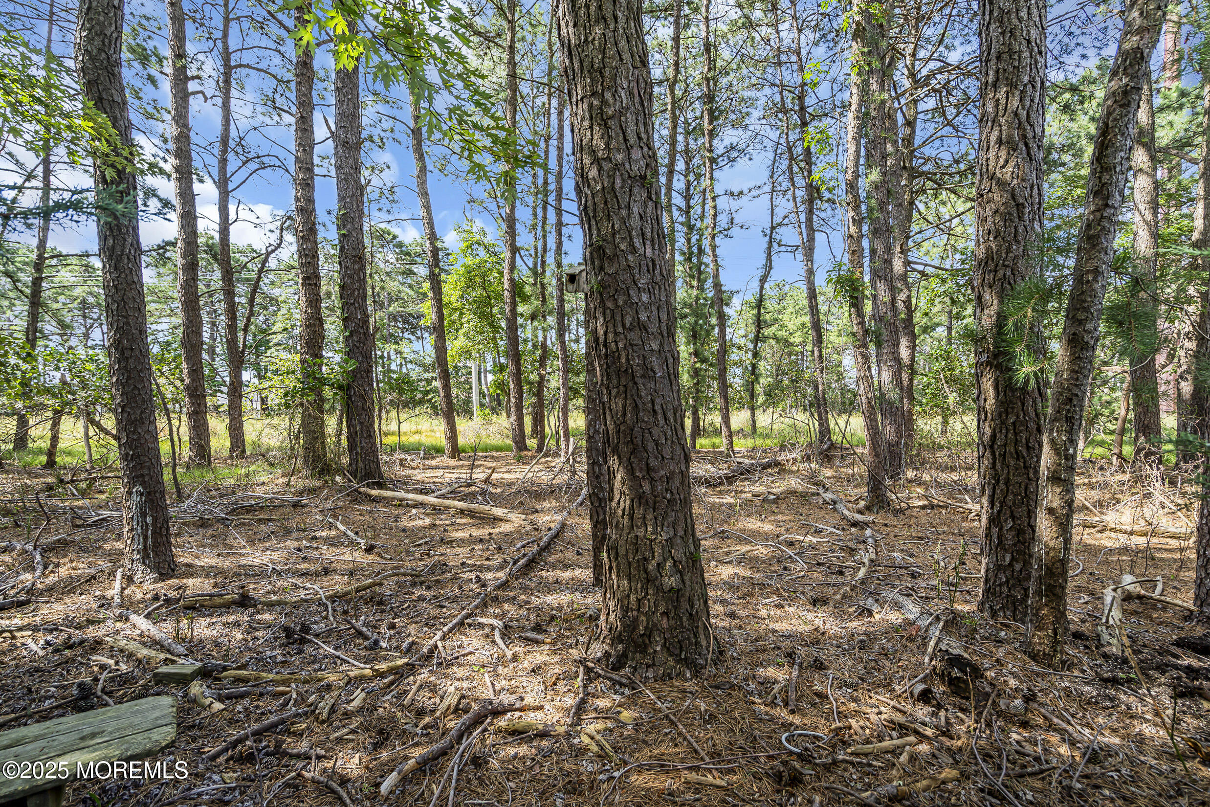 73 Guadalajara Drive