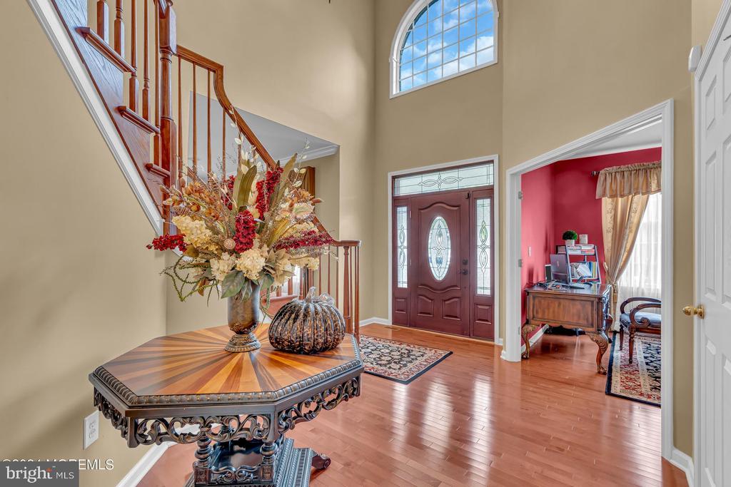 51 Vicari Way