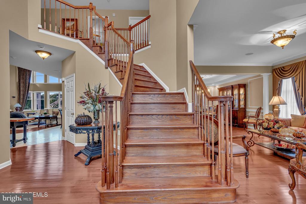 51 Vicari Way