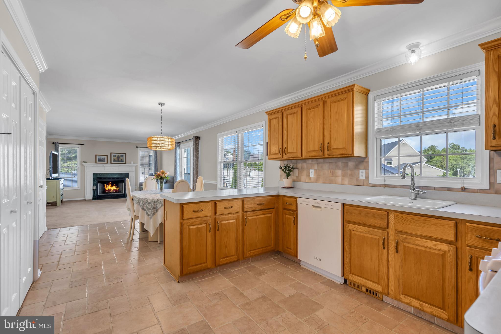 1176 ASTER DRIVE
