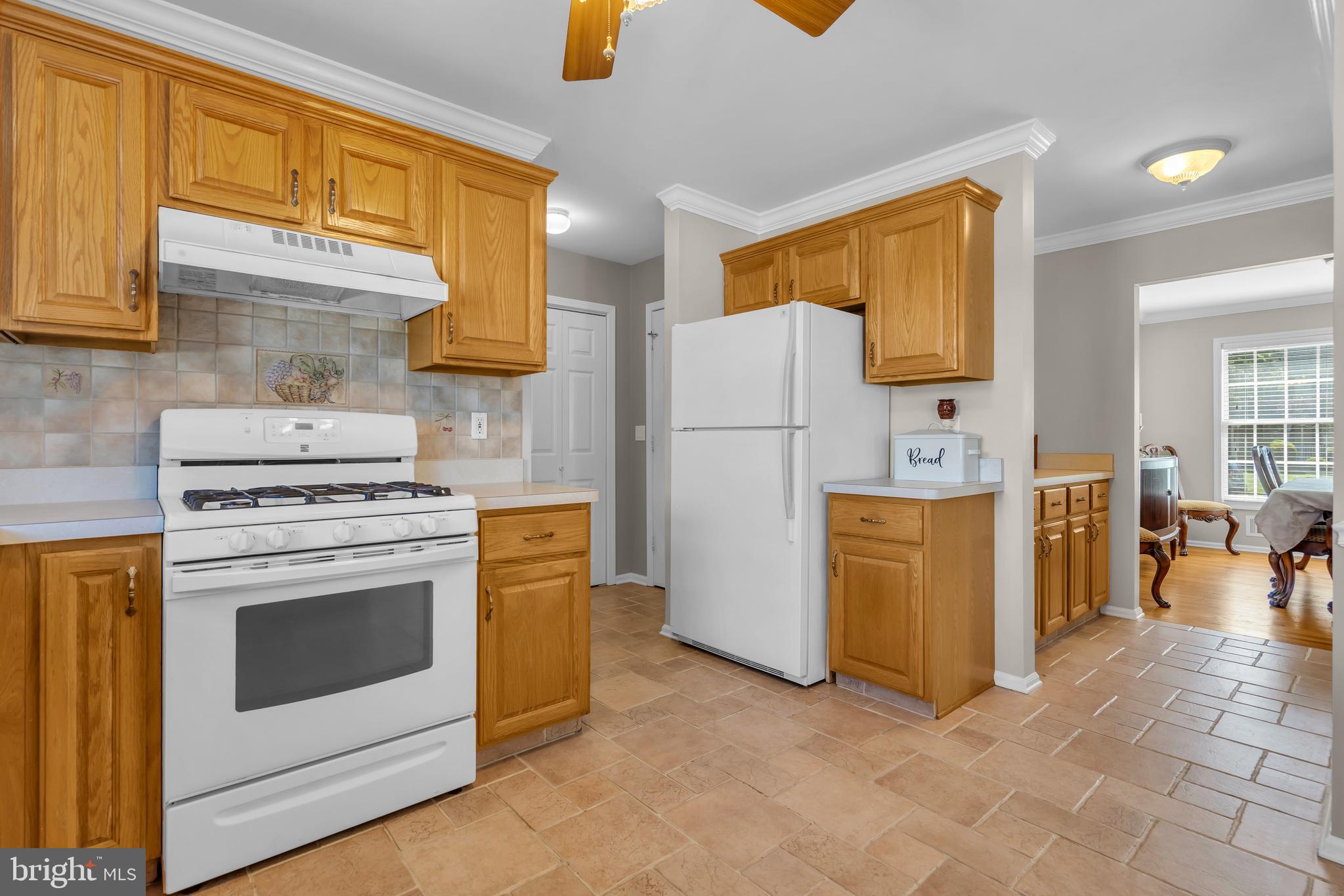 1176 ASTER DRIVE
