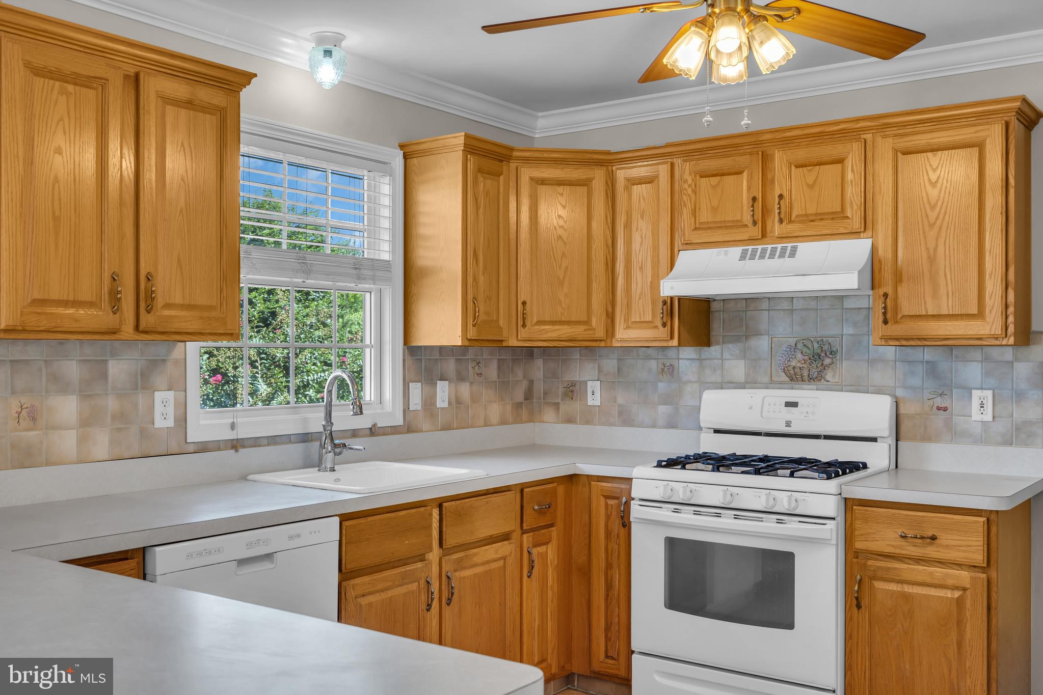 1176 ASTER DRIVE