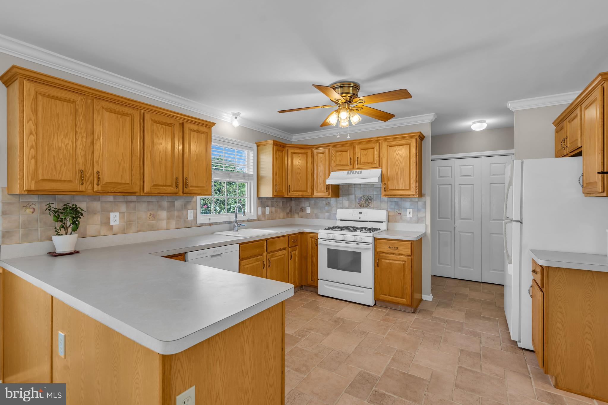 1176 ASTER DRIVE