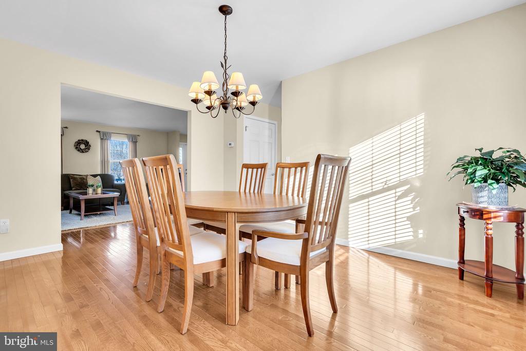 11 LUCILLE COURT
