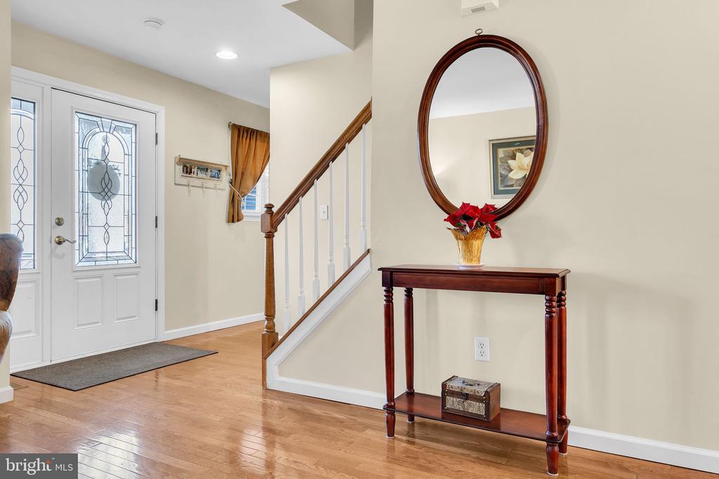 11 LUCILLE COURT