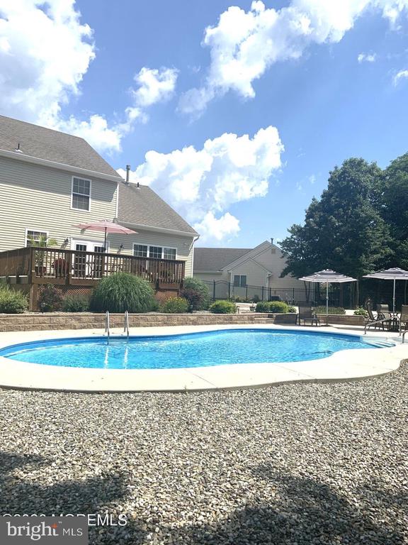 11 LUCILLE COURT