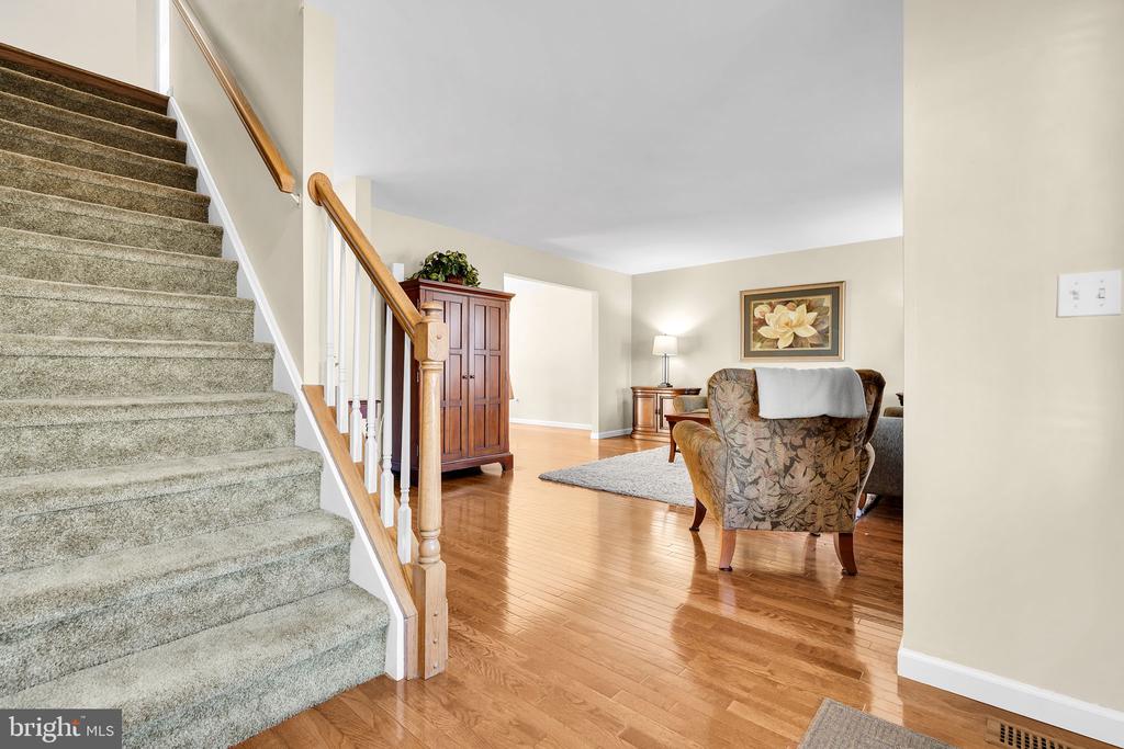 11 LUCILLE COURT