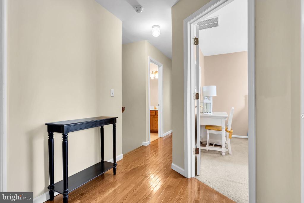 11 LUCILLE COURT