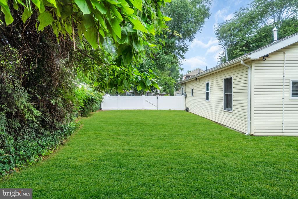 54 CENTRAL AVENUE