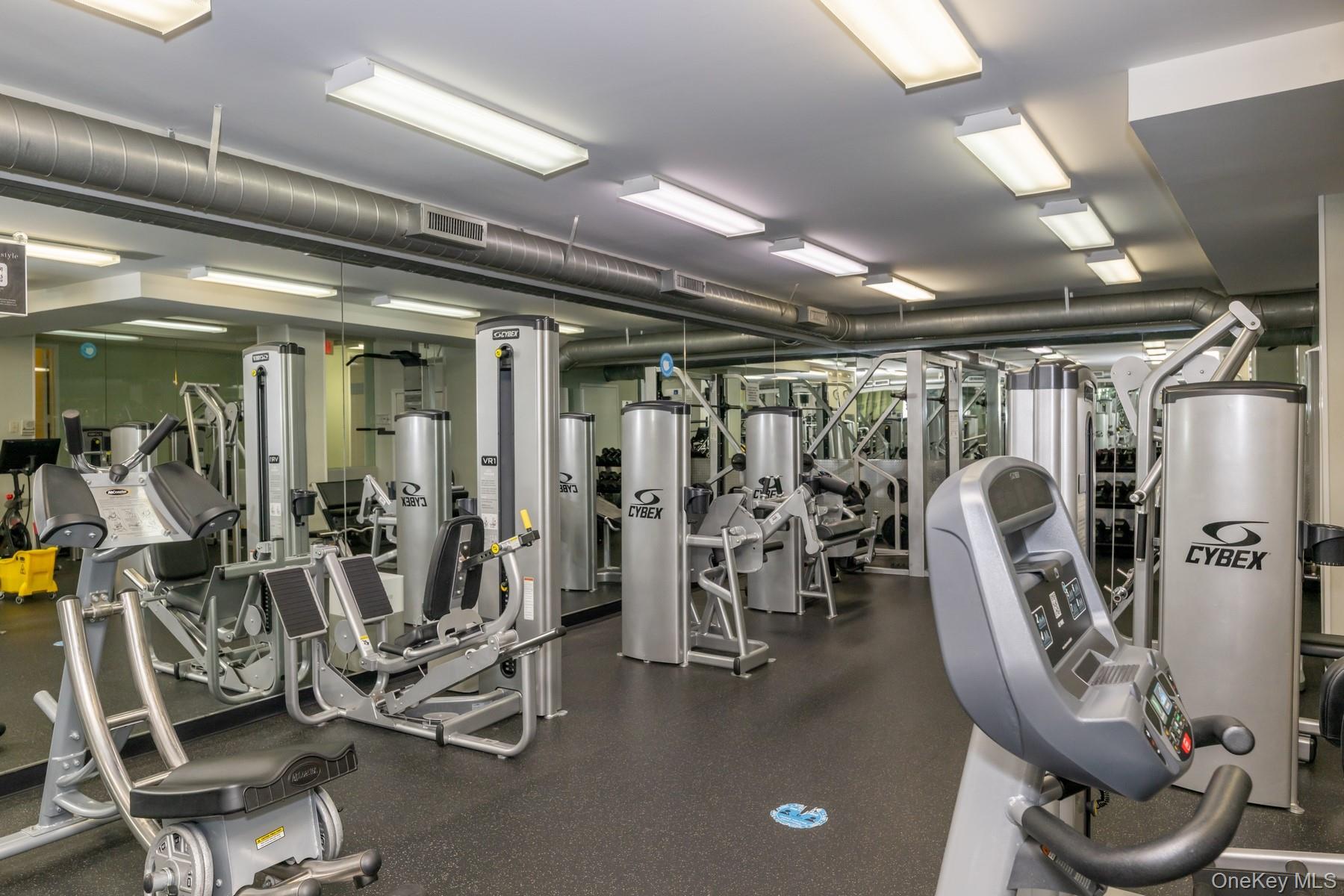 Fitness room with Cybex weight machines, cardio equipment, and mirrored walls.