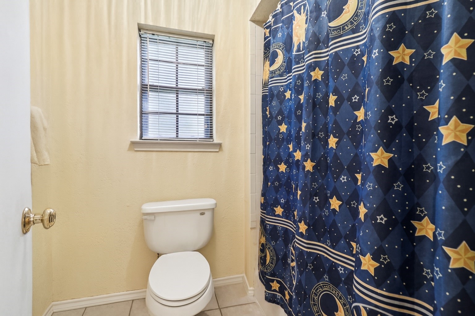 207 Stone Canyon Drive