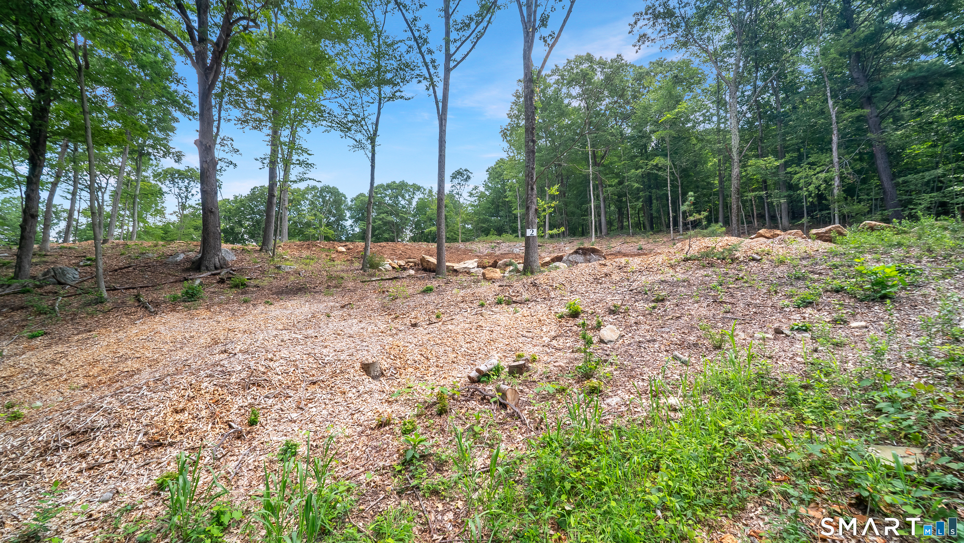 25 Silver Springs Drive