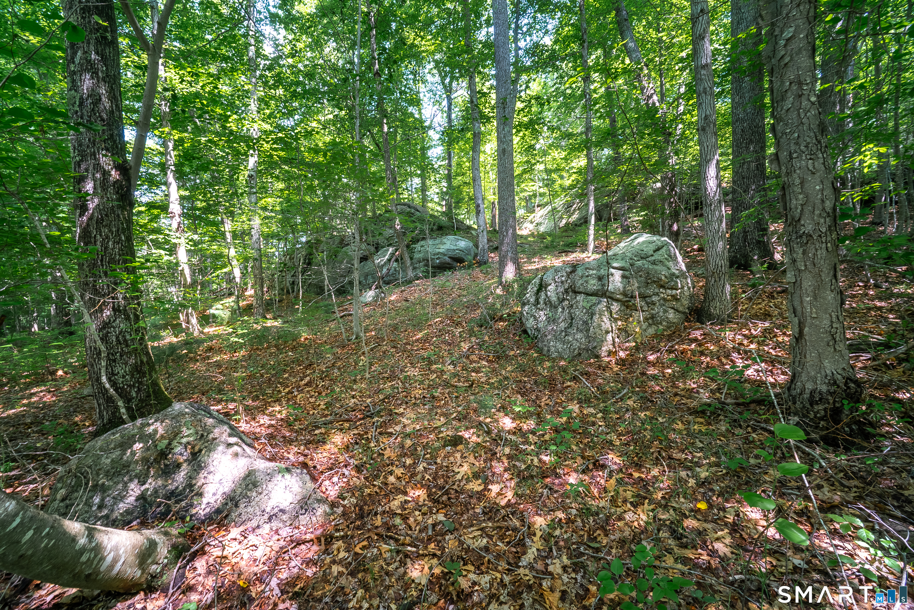 61 Silver Springs Drive