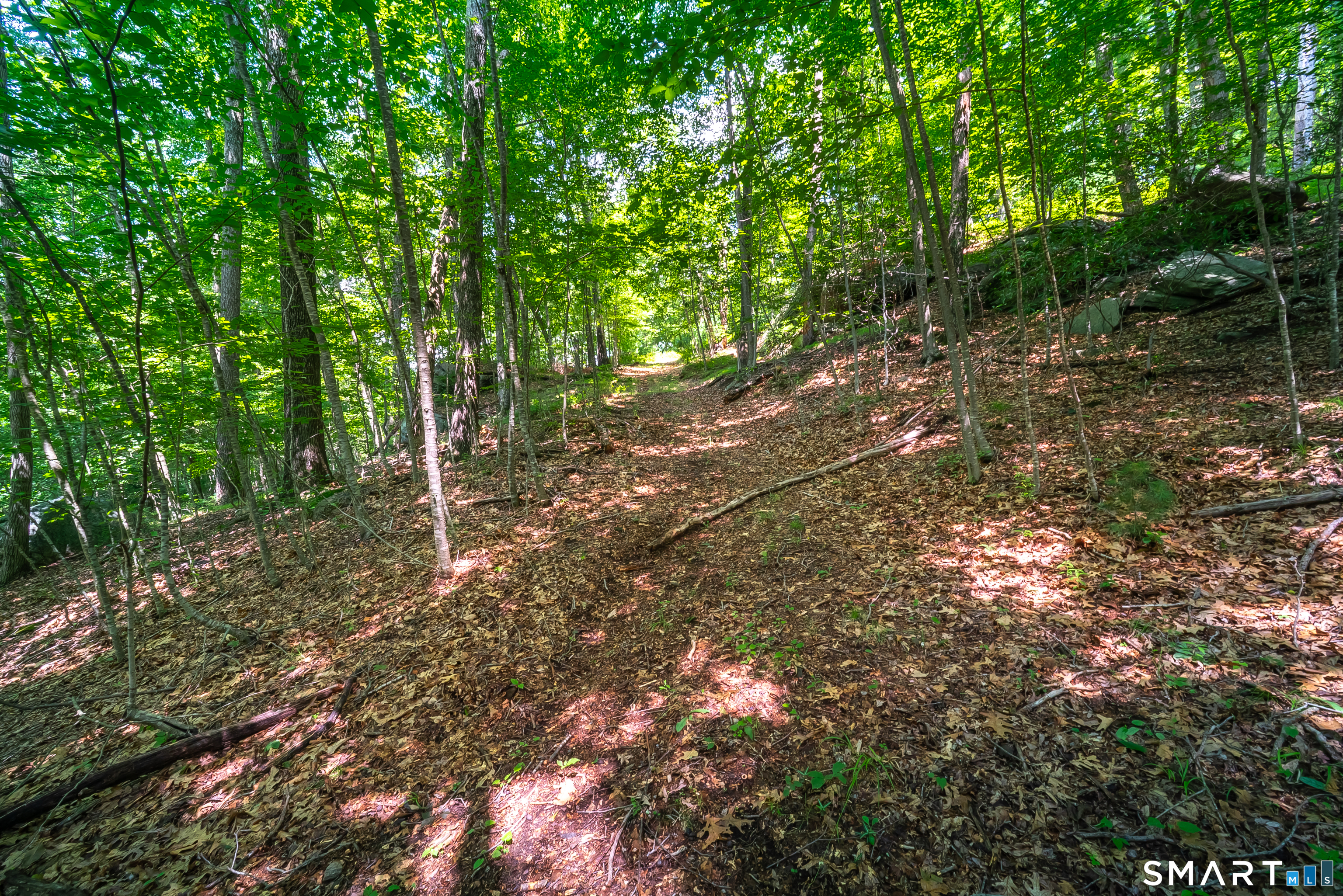 61 Silver Springs Drive