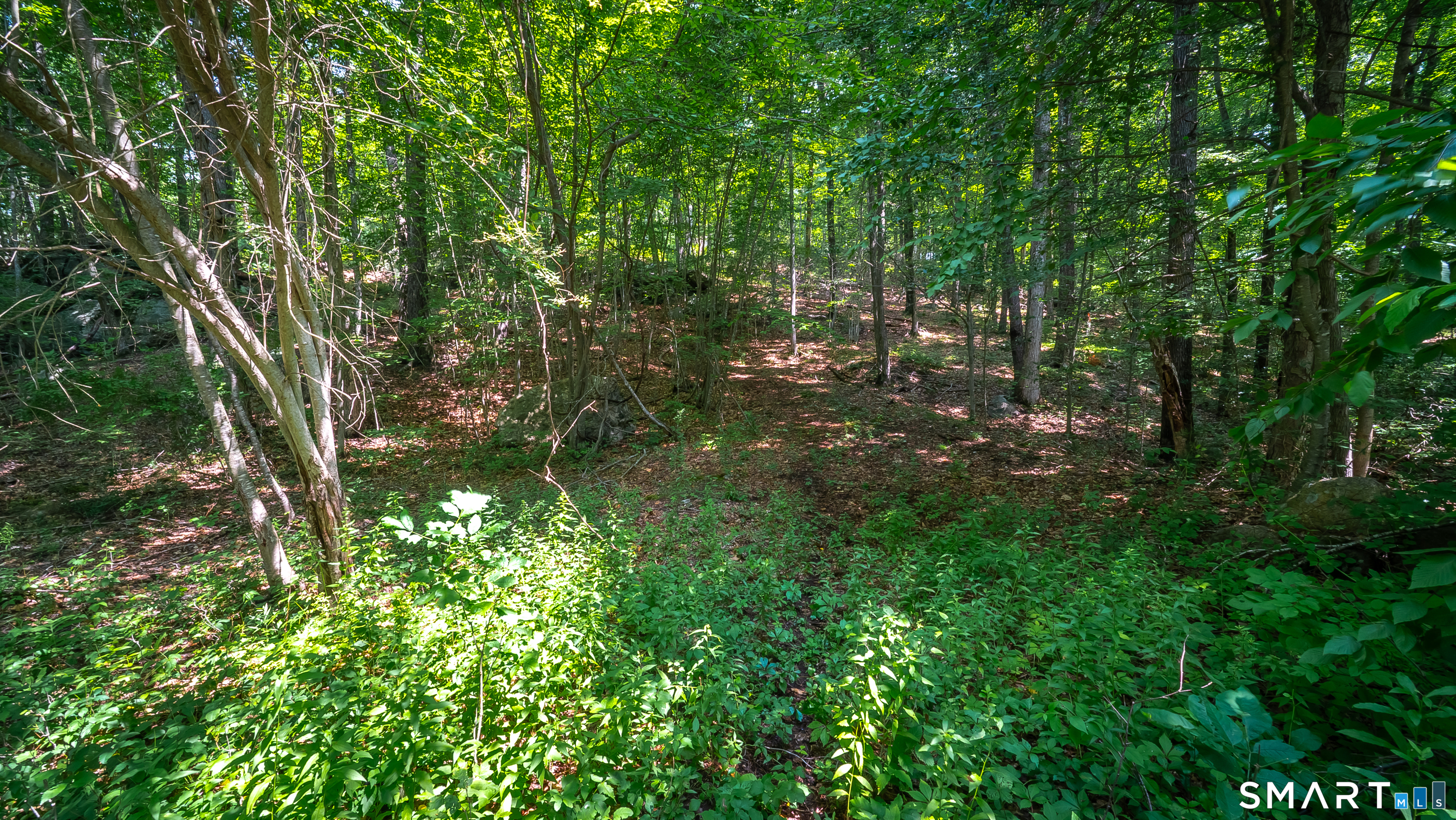 61 Silver Springs Drive