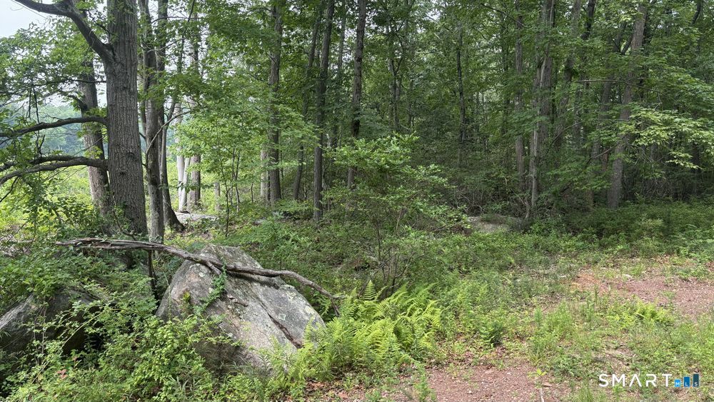 195 Silver Springs Drive