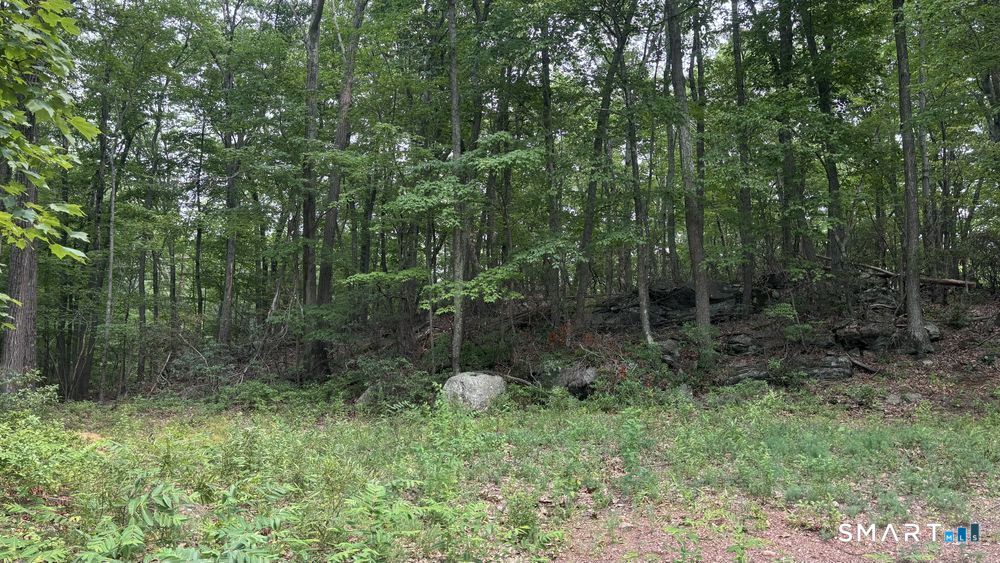 195 Silver Springs Drive