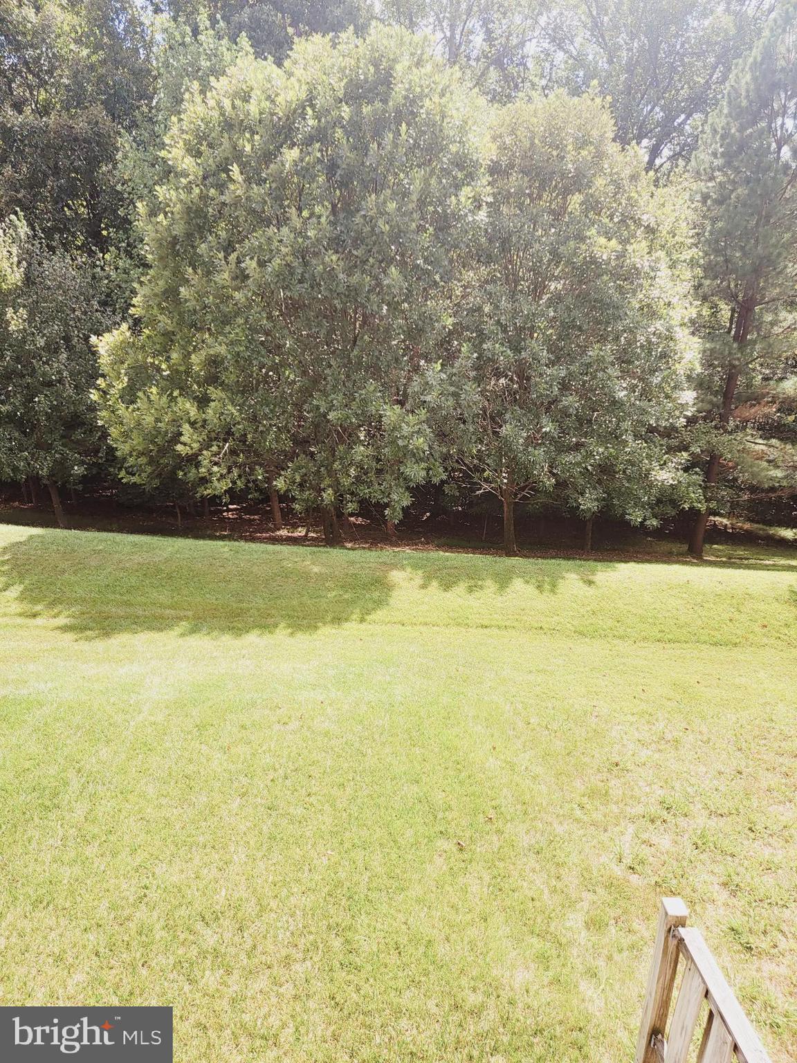 2418 Jostaberry Way