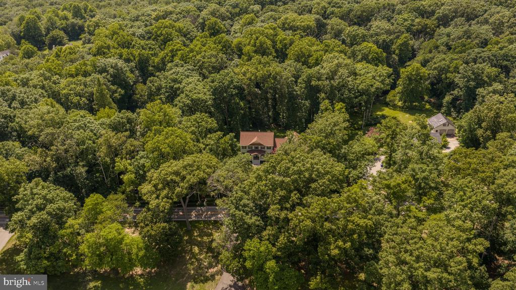 2516 DAISY ROAD